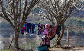 Bản giao hưởng sắc màu của người Mông