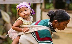 Bài học đầu đời trong câu hát ru...