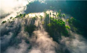 Thành phố Huế bảo tồn dân ca, dân vũ gắn với phát triển du lịch vùng đồng bào dân tộc thiểu số