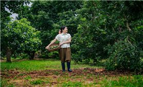 Khi quả bơ trở thành mỹ phẩm