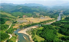 Ba Tơ (Quảng Ngãi): Đổi mới phương thức triển khai để người dân thực sự được thụ hưởng thành quả từ Chương trình MTQG 417