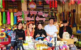 Tuyên Quang: Thúc đẩy ứng dụng chuyển đổi số vào phát triển kinh tế - xã hội
