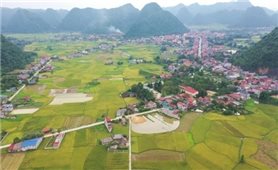 Lạng Sơn: Phát huy vai trò Người có uy tín trong triển khai thực hiện Chương trình MTQG 417