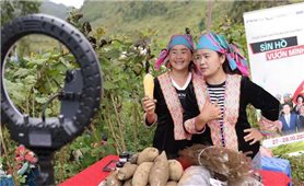 Thương mại điện tử mở lối cho nông sản Lai Châu