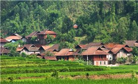 From smartphones to tourism-based livelihood development