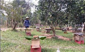 Minh Hóa (Quảng Trị): Đưa nguồn lực Chương trình MTQG 417 thành những công trình dân sinh