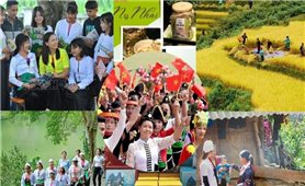 Thành lập BCĐ Trung ương thực hiện Chương trình MTQG phát triển văn hóa-xã hội, nông thôn, dân tộc và miền núi