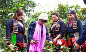 TP. Hà Nội: Đánh thức nguồn lực văn hóa thông qua Chương trình MTQG 417