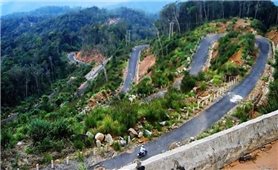 Khánh Hòa triển khai Chương trình MTQG 417: Đưa nguồn lực chính sách đến người dân, để không ai bị bỏ lại phía sau