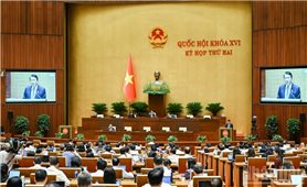 Quốc hội thảo luận dự án Bộ luật Hình sự (sửa đổi)