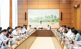 Quốc hội thảo luận sửa đổi một số luật về thuế