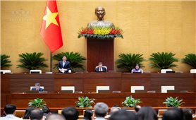 Phiên làm việc sáng 24/10: Quốc hội nghe các tờ trình, báo cáo thẩm tra 05 dự án luật và thảo luận ở Tổ