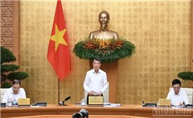 Xác định rõ các động lực tăng trưởng, tháo gỡ triệt để các điểm nghẽn, tạo chuyển biến tích cực hơn nữa