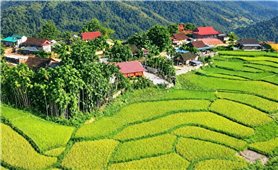 Mường Chọng - Điểm đến hấp dẫn bởi những điều bình dị