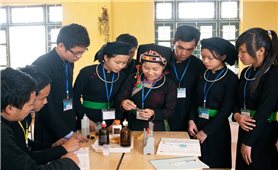 Tạo việc làm, kết nối lao động bền vững ở vùng dân tộc thiểu số và miền núi giai đoạn 2026 - 2035 - Một số vấn đề đặt ra