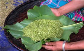 Bản làng thơm hương cốm mới