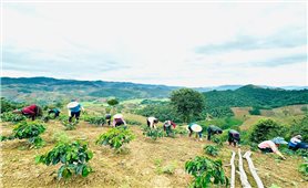 Sơn La: Thực hiện “Dân biết, dân bàn, dân làm, dân kiểm tra, dân giám sát, dân thụ hưởng” trong Chương trình MTQG
