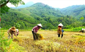Thanh Bồng: Khơi nguồn lực, mở hướng thoát nghèo bền vững
