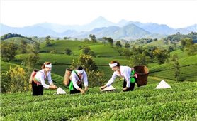 Triển khai Chương trình MTQG 417: Tháo gỡ điểm nghẽn, đưa nguồn lực về cơ sở