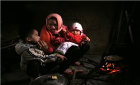 Đạo hiếu trong giáo lý các tôn giáo