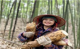 Bản làng thời số hóa