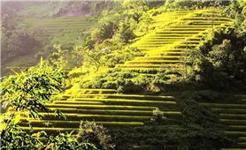 Xà Phìn - Vẻ đẹp thiên nhiên hòa cùng hồn người mộc mạc