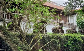 Vẻ đẹp vượt thời gian của dãy tượng 10 linh thú đá chùa Phật Tích