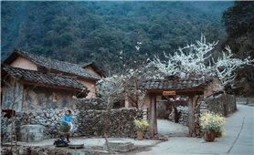 Developing tourism associated with preserving the ancient town of Dong Van