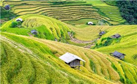 Du lịch làng quê - Phát triển nhưng vẫn giữ hồn xưa