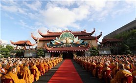 Khi Gieo hạt giống thiện lành...