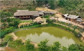 Shan tuyết bản Liền góp mặt vào thị trường quốc tế