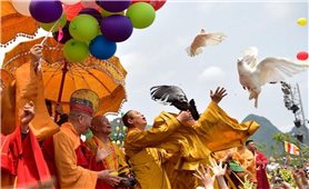 Giáo hội Phật giáo Việt Nam với chương trình thiên niên kỷ của Liên hợp quốc