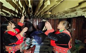 Tiềm năng phát triển du lịch cộng đồng ở xã Ca Thành, tỉnh Cao Bằng