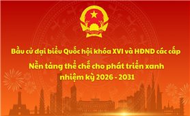 Gần 79 triệu cử tri sẽ tham gia bỏ phiếu bầu đại biểu Quốc hội và Hội đồng nhân dân các cấp
