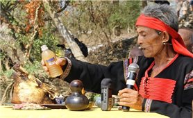 Tri thức sử dụng cây cỏ trong chăm sóc sức khỏe của người Mnông