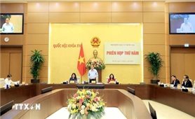 6 chức sắc tôn giáo trúng cử đại biểu Quốc hội khóa XVI