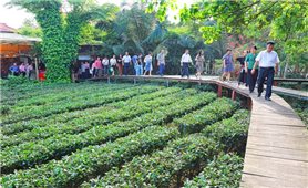 Phát triển mô hình du lịch cộng đồng ở bản Ven, Bắc Ninh