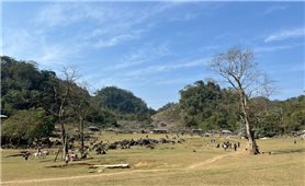 Trải nghiệm “3 không” ở Hang Táu