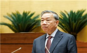 Tổng Bí thư Tô Lâm: Lá phiếu cử tri phải được tiếp nối bằng chất lượng lập pháp