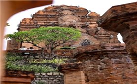 The mother’s symbol in the worship of the Mother Goddess in Vietnam