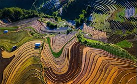 Ruộng bậc thang Mù Cang Chải - Không chỉ là phương tiện mưu sinh