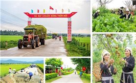 Bộ DTTG ban hành Kế hoạch triển khai thực hiện CTMTQG xây dựng nông thôn mới, giảm nghèo bền vững và phát triển KTXH vùng đồng bào DTTS&MN giai đoạn 2026-2035, giai đoạn I: Từ năm 2026 đến năm 2030