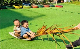 Về miền ký ức với chiếc mo cau