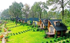 Một ngành kinh tế tiềm năng đang được kiến tạo từ những điều bình dị
