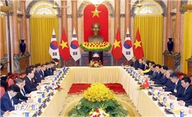 Tổng Bí thư, Chủ tịch nước Tô Lâm hội đàm với Tổng thống Hàn Quốc Lee Jae Myung