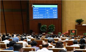 Quốc hội thông qua Luật Tín ngưỡng, tôn giáo (sửa đổi)