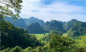 Có một nơi 