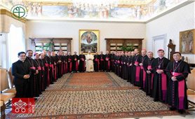 Hành trình hiệp thông AD Limina 2026 của Hội đồng Giám mục Việt Nam tại Vatican