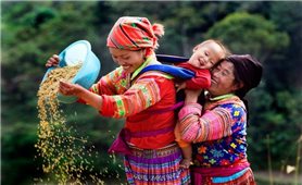Đẩy mạnh thực hiện Chiến lược công tác dân tộc đến năm 2030, tầm nhìn đến năm 2045