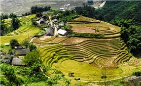 Sa Pa lặng lẽ kể câu chuyện của riêng mình...